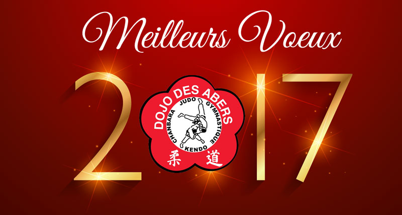 voeux 2017 dojodesabers